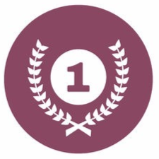 年冠軍廠商