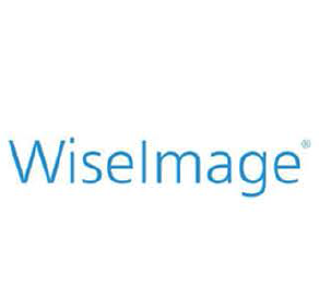 影像輔助設計軟體WiseImage 或 WiseImage ACAD中文商業版(含一年期版本授權升級)新購或擴增授權logo圖