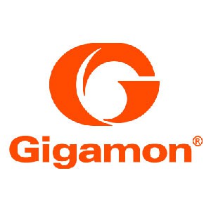 Gigamon 虛擬化網路流量管理軟體logo圖