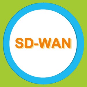 人工智慧文運管理軟體-Traffic SD WAN 10M 軟體定義網路節點專線智慧分流系統logo圖