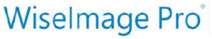 影像暨向量化輔助設計軟體WiseImage Pro 或 WiseImage Pro ACAD中文商業版(舊版本升級最新版)logo圖