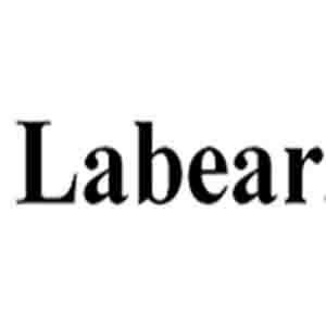 LABEAR ZOOM + 平板多功能教室學習系統logo圖