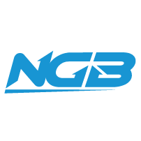 NGB單向傳輸系統logo圖