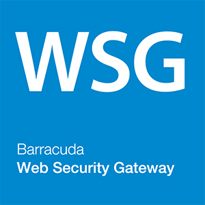 Barracuda Web Security Gateway 上網安全防護系統 50U (一年使用授權)logo圖