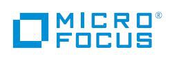 Micro Focus Dimensions RM Per ConCurrent(需求管理)logo圖