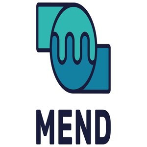 Mend開源安全檢測工具Basic 二年授權logo圖