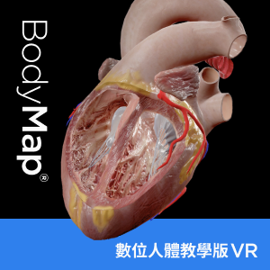 BodyMap 數位人體教學版 一年授權 (VR版本)logo圖