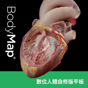 BodyMap 數位人體自修版 一年授權 (平板版本)logo圖