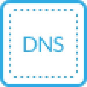 Palo Alto Networks DNS惡意網域防禦(一年期)logo圖