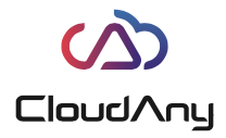 Arrosoft - CloudAny 雲端災難復原(DR)系統 Per Per Capacity 1TB 擴充授權logo圖