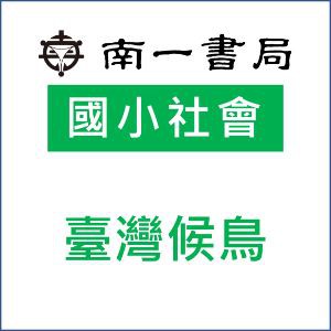 臺灣候鳥logo圖