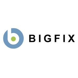 HCL BigFix Patch 2023, Perpetual License & 12 Month S&S, Managed Virtual Serverlogo圖