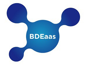 BDEaaS Deluxe:API Care service 應用程式介面客製化服務logo圖